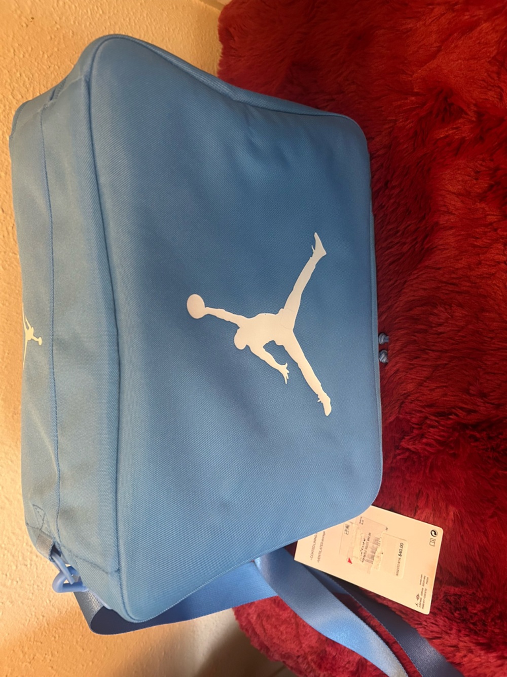 Jordan Light Blue Shoe Bag